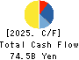 Nishi-Nippon Railroad Co.,Ltd. Cash Flow Statement 2025年Mar期 Nishi-Nippon Railroad Co.,Ltd. Cash Flow Statement 2025年3月期