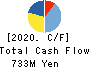 TOKATSU HOLDINGS CO.,LTD. Cash Flow Statement 2020年3月期
