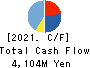 Nippon Pigment Company Limited Cash Flow Statement 2021年3月期