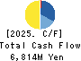 HURXLEY CORPORATION Cash Flow Statement 2025年Mar期 HURXLEY CORPORATION Cash Flow Statement 2025年3月期