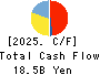 RIZAP GROUP,Inc. Cash Flow Statement 2025年Mar期 RIZAP GROUP,Inc. Cash Flow Statement 2025年3月期