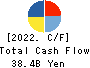 DeNA Co.,Ltd. Cash Flow Statement 2022年Mar期 DeNA Co.,Ltd. Cash Flow Statement 2022年3月期