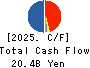 TSUKISHIMA HOLDINGS CO., LTD. Cash Flow Statement 2025年Mar期 TSUKISHIMA HOLDINGS CO., LTD. Cash Flow Statement 2025年3月期