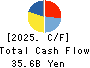TOKYO STEEL MANUFACTURING CO., LTD. Cash Flow Statement 2025年Mar期 TOKYO STEEL MANUFACTURING CO., LTD. Cash Flow Statement 2025年3月期