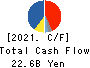 TOKYO OHKA KOGYO CO.,LTD. Cash Flow Statement 2021年12月期