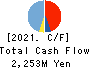 SANYU CO.,LTD. Cash Flow Statement 2021年3月期