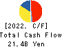 TOKAI Holdings Corporation Cash Flow Statement 2022年3月期