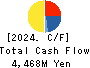Paraca Inc. Cash Flow Statement 2024年9月期