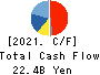 TOKYO SEIMITSU CO.,LTD. Cash Flow Statement 2021年3月期