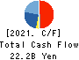 TechnoPro Holdings,Inc. Cash Flow Statement 2021年Jun期 TechnoPro Holdings,Inc. Cash Flow Statement 2021年6月期