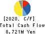 MITSUI MATSUSHIMA HOLDINGS CO., LTD. Cash Flow Statement 2020年3月期