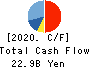 TOKYO OHKA KOGYO CO.,LTD. Cash Flow Statement 2020年12月期