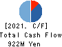 ZUU Co.,Ltd. Cash Flow Statement 2021年3月期