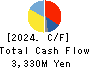 JAPAN ELECTRONIC MATERIALS CORPORATION Cash Flow Statement 2024年3月期