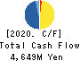 Origin Company,Limited Cash Flow Statement 2020年3月期