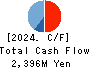 Solekia Limited Cash Flow Statement 2024年3月期
