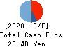 Kojima Co.,Ltd. Cash Flow Statement 2020年8月期
