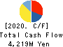OIZUMI Corporation Cash Flow Statement 2020年3月期
