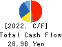 NOF CORPORATION Cash Flow Statement 2022年3月期
