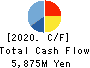 SANKYO SEIKO CO.,LTD. Cash Flow Statement 2020年3月期