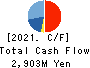 Shinwa Co.,Ltd. Cash Flow Statement 2021年Mar期 Shinwa Co.,Ltd. Cash Flow Statement 2021年3月期