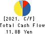 LIFENET INSURANCE COMPANY Cash Flow Statement 2021年Mar期 LIFENET INSURANCE COMPANY Cash Flow Statement 2021年3月期