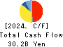 IINO KAIUN KAISHA, LTD. Cash Flow Statement 2024年Mar期 IINO KAIUN KAISHA, LTD. Cash Flow Statement 2024年3月期