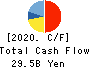 TORIDOLL Holdings Corporation Cash Flow Statement 2020年3月期