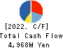 Carlit Holdings Co., Ltd. Cash Flow Statement 2022年3月期