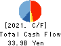 NOF CORPORATION Cash Flow Statement 2021年Mar期 NOF CORPORATION Cash Flow Statement 2021年3月期