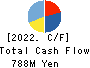 Global Security Experts Inc. Cash Flow Statement 2022年Mar期 Global Security Experts Inc. Cash Flow Statement 2022年3月期