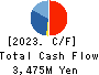 Shinnihonseiyaku Co.,Ltd. Cash Flow Statement 2023年9月期