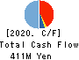 Techno Alpha Co., Ltd. Cash Flow Statement 2020年11月期