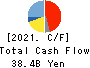 HORIBA, Ltd. Cash Flow Statement 2021年12月期