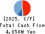 SANYEI CORPORATION Cash Flow Statement 2025年Mar期 SANYEI CORPORATION Cash Flow Statement 2025年3月期