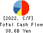 NS Solutions Corporation Cash Flow Statement 2022年Mar期 NS Solutions Corporation Cash Flow Statement 2022年3月期