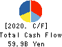KANSAI PAINT CO.,LTD. Cash Flow Statement 2020年3月期