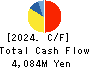 Ryoyu Systems Co.,Ltd. Cash Flow Statement 2024年Mar期 Ryoyu Systems Co.,Ltd. Cash Flow Statement 2024年3月期