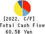 TOKAI CARBON CO.,LTD. Cash Flow Statement 2022年12月期