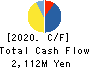 Future Innovation Group,Inc. Cash Flow Statement 2020年12月期