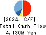 DAIKO DENSHI TSUSHIN, LTD. Cash Flow Statement 2024年3月期