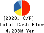 TOKYO RAKUTENCHI CO.,LTD. Cash Flow Statement 2020年1月期