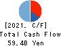 KANSAI PAINT CO.,LTD. Cash Flow Statement 2021年3月期