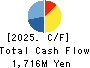 NF HOLDINGS CORPORATION Cash Flow Statement 2025年Mar期 NF HOLDINGS CORPORATION Cash Flow Statement 2025年3月期
