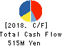 Nihon Jyoho Create Co.,Ltd. Cash Flow Statement 2018年6月期