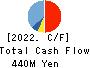 HOSOYA PYRO-ENGINEERING CO.,LTD. Cash Flow Statement 2022年3月期