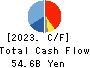 Chiyoda Corporation Cash Flow Statement 2023年3月期