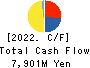 Amvis Holdings,Inc. Cash Flow Statement 2022年9月期