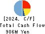 SAITA CORPORATION Cash Flow Statement 2024年6月期
