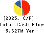 TIGERS POLYMER CORPORATION Cash Flow Statement 2025年Mar期 TIGERS POLYMER CORPORATION Cash Flow Statement 2025年3月期